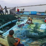 କମ୍ୟୁନିଟି ହେଲ୍ଥ ସେଣ୍ଟରର ଆକାଉଣ୍ଟାଣ୍ଟ ଓ ପିଅନ୍ ଲାଞ୍ଚ ନେଇ ଗିରଫ