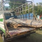 ଆତ୍ମସମର୍ପଣ ନକଲେ ଏନ୍‌କାଉଣ୍ଟର: ବିଏସଏଫ ଆଇଜି