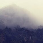 ଆଜିଠୁ ହାଇସ୍କୁଲ ସାର୍ଟିଫିକେଟ ପରୀକ୍ଷା ଫର୍ମ ପୂରଣ