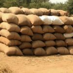 ପଦ୍ମ ଧରିଲେ ତାଳଚେର ପୌରାଧ୍ୟକ୍ଷଙ୍କ ସମେତ ୧୩ କାଉନସିଲର