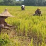 ସୁଦାନରୁ ପୁଅକୁ ଫେରାଇ ଆଣିବାକୁ ମୁଖ୍ୟମନ୍ତ୍ରୀଙ୍କୁ ନିବେଦନ କଲେ ଆଦର୍ଶଙ୍କ ପରିବାର