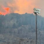 ଅହମ୍ମଦ ସିଦ୍ଦିକିଙ୍କୁ ୧୩ ଦିନିଆ ରିମାଣ୍ଡରେ ନେଲା ଇଡି