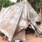 ଝାରସୁଗୁଡାରୁ ଛତିଶଗଡ଼ ଗସ୍ତ କଲେ ରାଷ୍ଟ୍ରପତି ଦ୍ରୌପଦୀ ମୁର୍ମୁ