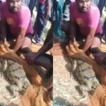 ଗୋଆରେ ୫୬ତମ ଆଇଏଫଏଫଆଇରେ ଓଡ଼ିଆ ଫିଲ୍ମ ‘ପାପା ବୁକା’