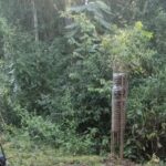 ସୁରକ୍ଷାକର୍ମୀ ଓ ମାଓବାଦୀଙ୍କ ମଧ୍ୟରେ ଗୁଳି ବିନିମୟ: ୫ ମାଓବାଦୀ ନିହତ, ଜଣେ ଯବାନ ସହିଦ