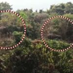 ରଥଯାତ୍ରା ପୂର୍ବରୁ ସରିବ ରତ୍ନଭଣ୍ଡାର ଗଣତି ମଣତି: ଆଇନ ମନ୍ତ୍ରୀ