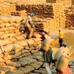 ବିସ୍କୁଟ୍ ଲୋଭ ଦେଖାଇ ୫ ବର୍ଷର ଶିଶୁ କନ୍ୟାକୁ ଦୁଷ୍କର୍ମ ! ଅଭିଯୁକ୍ତ ଗିରଫ