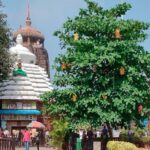 କଣ୍ଟାବାଞ୍ଜି ବିଧାୟକଙ୍କୁ ହତ୍ୟା ଧମକ; ଥାନାରେ ଏତଲା