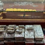 ଟ୍ରାଙ୍କୁଲାଇଜ ପରେ ଅସୁସ୍ଥ ହାତୀର ଚିକିତ୍ସା ଆରମ୍ଭ