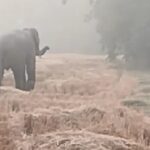 ପୋଲିସ SI ପରୀକ୍ଷା ଘୋଟାଲା, ୪ ଦିନିଆ ରିମାଣ୍ଡରେ ଯିବେ ଅଭିଯୁକ୍ତ