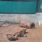 ବିଶ୍ଵବିଦ୍ୟାଳୟ ଓ ମହାବିଦ୍ୟାଳୟରେ ଖାଲି ପଡିଛି ୧୪୩୦ ପଦବୀ: ଉଚ୍ଚଶିକ୍ଷା ମନ୍ତ୍ରୀ