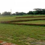 ଏସଆଇ ପରୀକ୍ଷା ଘୋଟାଲା; SSB ଯବାନଙ୍କ ସମେତ ୨ ଗିରଫ