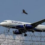 ପୁଟିନଙ୍କୁ କାହିଁକି ମଦ, ମାଂସ ପରସାଗଲାନି ବୋଲି ପ୍ରଶ୍ନ ଉଠାଇଲେ କଂଗ୍ରେସ ନେତା