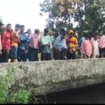 ଫାଶରେ ପଡ଼ିଲା କଲରାପତରିଆ, ଲୋକେ ଆତଙ୍କିତ