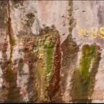 ସୋନିଆ ଗାନ୍ଧିଙ୍କୁ ମୋକିମଙ୍କ ଚିଠି ପ୍ରସଙ୍ଗ: ମୁହଁ ଖୋଲିଲେ ଭକ୍ତ