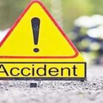 ନନ୍ଦନକାନନକୁ ଆସିବ ଚିତା