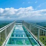 ଭାରତ ଆସିବେ ପୁଟିନ୍, ସୁରକ୍ଷାକୁ ଦୃଷ୍ଟିରେ ରଖି ଦିଲ୍ଲୀରେ ହାଇଆଲର୍ଟ