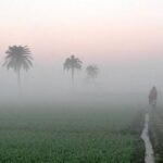 ଜାନୁଆରୀ ୩୧ରେ ଛତିଶଗଡ଼ ଯିବ ରାଜ୍ୟ ସରକାରଙ୍କ ମହାନଦୀ କମିଟି