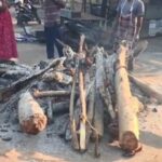 ଡକାୟତି ଉଦ୍ୟମ ପଣ୍ଡ, ଗ୍ୟାଙ୍ଗ ଗିରଫ, ମାରଣାସ୍ତ୍ର ସହ ନଗଦ ଟଙ୍କା ଜବତ