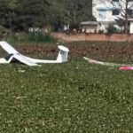 ହାଇଦ୍ରାବାଦରେ ପୁଣି ୧୦୦ ବୁଲା କୁକୁରଙ୍କୁ ହତ୍ୟା