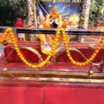 ଭିଜିଲାନ୍ସ ଜାଲରେ ପୂର୍ବତନ ଫରେଷ୍ଟର ଜୟ କୁମାର ଯୁଆଡ