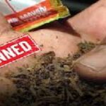 ସରଣ୍ଡା ଜଙ୍ଗଲରେ ଏନକାଉଣ୍ଟର, ସୁରକ୍ଷାକର୍ମୀଙ୍କ ଗୁଳିରେ ୧୨ ଦୁର୍ଦ୍ଦାନ୍ତ ମାଓବାଦୀ ମୃତ