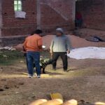 ପୋଙ୍ଗଲ ପାଳିଲେ ପ୍ରଧାନମନ୍ତ୍ରୀ ନରେନ୍ଦ୍ର ମୋଦୀ