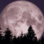 ବିଞ୍ଝାରପୁରରେ ଲୁଟେରାଙ୍କ ଦୌରାତ୍ମ୍ୟ; ଡାଲା ଅଟୋରେ ଲୁଟି ନେଲେ ଟଙ୍କା ବୋଝେଇ ଏଟିଏମ୍‌