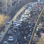 ଭୁଲ ଇଞ୍ଜେକସନ ଦେଇ ୫୦୦ କୁକୁରଙ୍କୁ ହତ୍ୟା