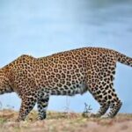 ଇରାନରେ ସରକାର ବିରୋଧୀ ହିଂସା; ୭ ମୃତ, ୧୩ ଆହତ