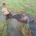 କୁଆଖାଇରେ ବୁଡ଼ି ୨ ଛାତ୍ର ମୃତ