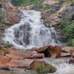 ଆକ୍ସନ ମୋଡରେ ପ୍ରଶାସନ; ଆମ ବସରେ ବସି ସ୍ଥିତି ପରଖିଲେ ପରିବହନ କମିଶନର