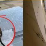 ମହିଳାଙ୍କ ପାଇଁ ଖୁବ୍‌ଶୀଘ୍ର ଆରମ୍ଭ ହେବାକୁ ଯାଉଛି ଇ-ବାଇକ୍ ଦିଦି ଯୋଜନା