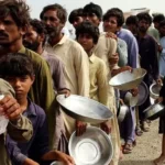 ବର୍ଷା ସାଜିଲା ବାଧକ, ପଏଣ୍ଟ ଭାଗ କଲେ ପାକିସ୍ତାନ-ନ୍ୟୁଜିଲାଣ୍ଡ