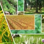 ଆନ୍ଦୋଳନକୁ ଓହ୍ଲାଇବେ ବିଦ୍ୟୁତ୍ କର୍ମଚାରୀ