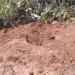 କେନ୍ଦୁଝରରେ ୧୦୦ କୋଟିର ଟେକ୍ସଟାଇଲ୍ ପାର୍କର ଶିଳାନ୍ୟାସ କଲେ ମୁଖ୍ୟମନ୍ତ୍ରୀ