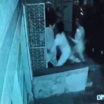 ୯ ବାଂଲାଦେଶୀ ଅନୁପ୍ରବେଶକାରୀଙ୍କୁ ୨ ବର୍ଷ ଜେଲ୍