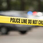 ନନ୍ଦନକାନନରେ ୮ ଦିନରେ ମଲେଣି ୫ ବଉଳା କୁମ୍ଭୀର