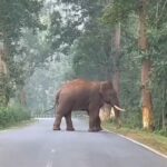 ପାର୍ଟିରୁ ଫେରିବା ବେଳେ ୬ ଜଣଙ୍କ ଉପରେ କାର ମଡ଼ାଇଦେଲା ଦ୍ଵାଦଶ ଶ୍ରେଣୀ ଛାତ୍ର