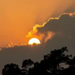 ବିକ୍ରମ ପଣ୍ଡାଙ୍କ ଅପରେସନକୁ ନେଇ ନ୍ଦ୍ବନ୍ଦ୍ବ, ଘରୋଇ ହସ୍ପିଟାଲରେ ଚିକିତ୍ସା ପିଟିସନକୁ କୋର୍ଟଙ୍କ ଖାରଜ