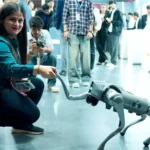 ଦେଶର ସୁରକ୍ଷା ପାଇଁ ରାହୁଲ ବିପଦ- କିରଣ ରିଜିଜୁ