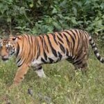 ଏୟାର ଇଣ୍ଡିଆ ଦୁର୍ଘଟଣା: ୩ସପ୍ତାହ ମଧ୍ୟରେ ତଦନ୍ତ ରିପୋର୍ଟ ଦେବାକୁ ସୁପ୍ରିମକୋର୍ଟଙ୍କ ନିର୍ଦ୍ଦେଶ