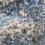 ଭିଜିଲାନ୍ସ ଜାଲରେ ବେଲଗୁଣ୍ଠା ଅତିରିକ୍ତ ତହସିଲଦାର