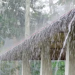 ଦେଶର ପ୍ରଥମ ଆତଙ୍କବାଦ ବିରୋଧୀ ପଲିସି ‘ପ୍ରହାର’ ଉନ୍ମୋଚନ କଲା ଭାରତ