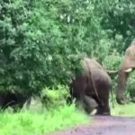 ଡ୍ୟୁଟି ବେଳେ ଚାଲିଗଲା ଫାର୍ମାସିଷ୍ଟଙ୍କ ଜୀବନ, କ୍ଷତିପୂରଣ ଦାବିରେ ମୃତଦେହ ନେଲେନି ପରିବାର ଲୋକେ