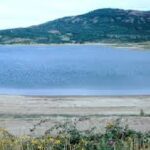 ମଲ୍ଲିକାର୍ଜୁନ ଖଡ଼ଗେଙ୍କୁ ଭେଟିଲେ ଡାକ୍ତର ଦତ୍ତେଶ୍ୱର ହୋତା