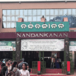 ଆଜିଠୁ ୩ ଦିନ ପ୍ରବଳ ବର୍ଷା, ୪୦ରୁ ୫୦ କିଲୋମିଟର ବେଗରେ ବହିବ ପବନ