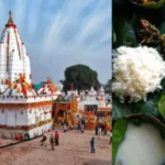 ଗଣେଶ ପୂଜା ପେଣ୍ଡାଲରେ ଭୟାବହ ଅଗ୍ନିକାଣ୍ଡ