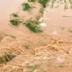 ବନ୍ୟାଞ୍ଚଳ ପରିଦର୍ଶନ ବେଳେ ଖଲ୍ଲିକୋଟ ବିଧାୟକଙ୍କୁ ଦୁର୍ବ୍ୟବହାର ଅଭିଯୋଗ