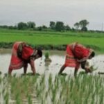 ମହାକାଶକୁ NVS-03 ଉପଗ୍ରହ ପଠାଇବ ଇସ୍ରୋ